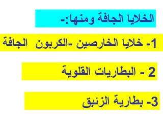 ‫الخليا الجافة ومنها:-‬
‫1- خليا الخارصين -الكربون الجافة‬

            ‫2 - البطاريات القلوية‬

                ‫3- بطارية الزئبق‬
 