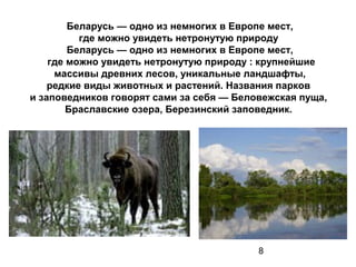 Беларусь — одно из немногих в Европе мест,
          где можно увидеть нетронутую природу
        Беларусь — одно из немногих в Европе мест,
    где можно увидеть нетронутую природу : крупнейшие
     массивы древних лесов, уникальные ландшафты,
    редкие виды животных и растений. Названия парков
и заповедников говорят сами за себя — Беловежская пуща,
        Браславские озера, Березинский заповедник.




                                          8
 