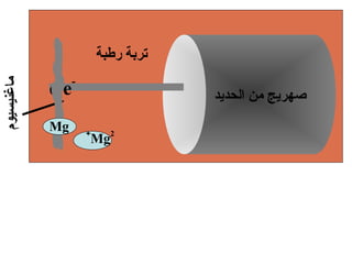 ‫تربة رطبة‬
            ‫- -‬
‫ماغنيسيوم‬




            ‫‪ee‬‬                    ‫صهرايج من الحدايد‬
            ‫‪Mg‬‬    ‫+‬     ‫2‬
                      ‫‪Mg‬‬
 