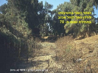 ‫הנהר השני בחשיבותו‬
                                      ‫לירדן הפך לנחל אכזב‬
                                       ‫בתחילת שנות ה- 07‬




‫הירקון בקטע רמת גן – 4791 )א. גזית(‬
 