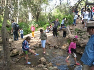 ‫במציאות של היום גם זרזיף של מים בטבע הוא‬
  ‫אטרקציה )מעין באזור מטע, הרי ירושלים(‬
 