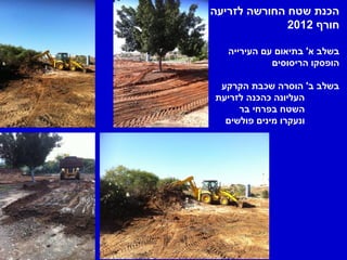 ‫הכנת שטח החורשה לזריעה‬
              ‫חורף 2102‬

   ‫בשלב א' בתיאום עם העירייה‬
             ‫הופסקו הריסוסים‬

 ‫בשלב ב' הוסרה שכבת הקרקע‬
‫העליונה כהכנה לזריעת‬
     ‫השטח בפרחי בר‬
  ‫ונעקרו מינים פולשים‬
 