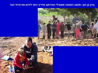 ‫ברק בן חנן –תושב השכונה ממובילי הפרויקט מדריך כיצד לזרוע את פרחי הבר‬
 