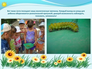 Вот такие гости посещают нашу экологическую тропинку. Каждый выход на улицу для
 ребенка оборачивается увлекательной прогулкой, дающей возможность наблюдать,
                             познавать, запоминать!
 