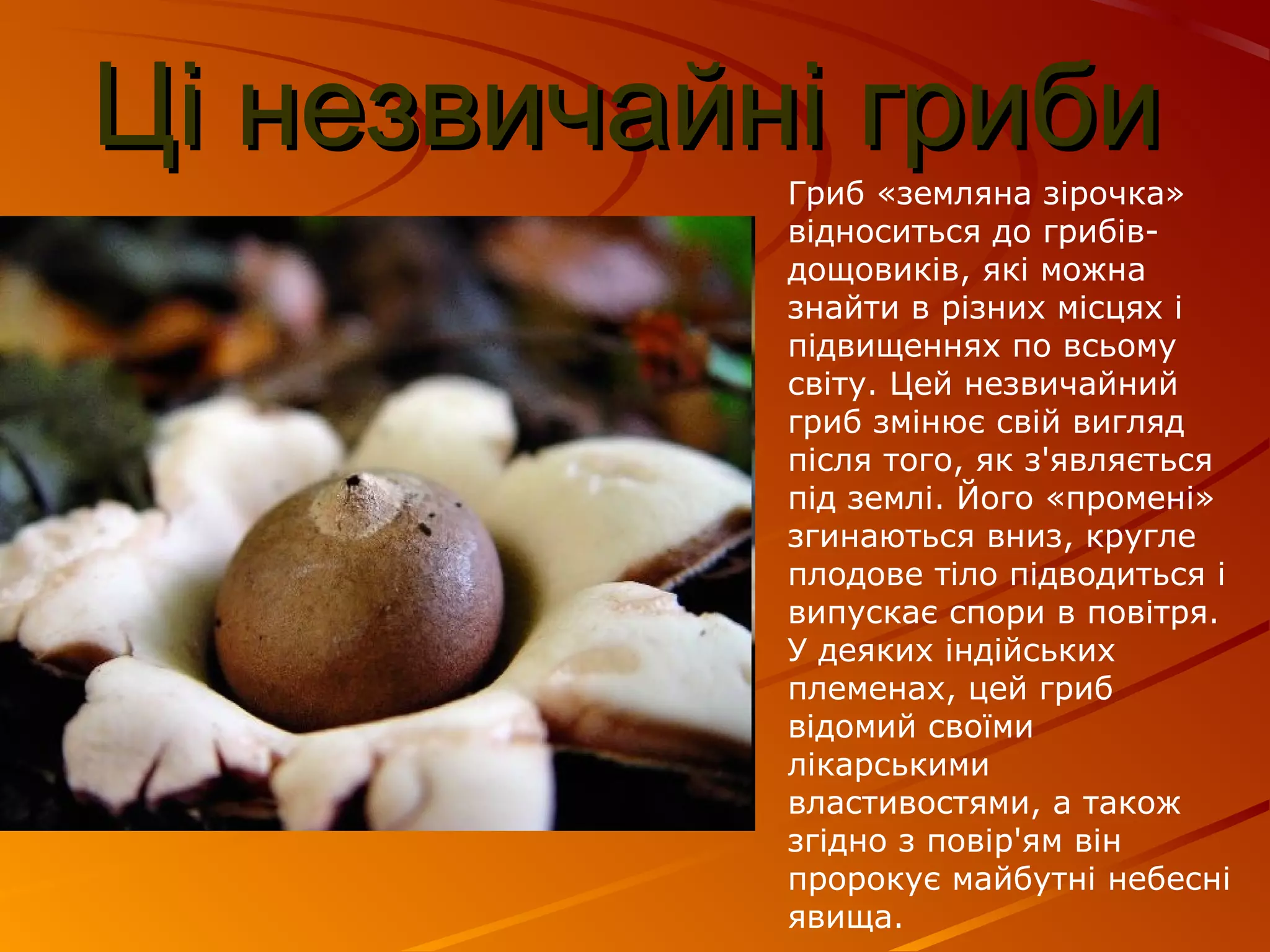 Молитва до миколая чудотворця яка змінює долю