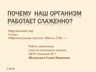 Почему Наш Организм Работает Слаженно | PPT