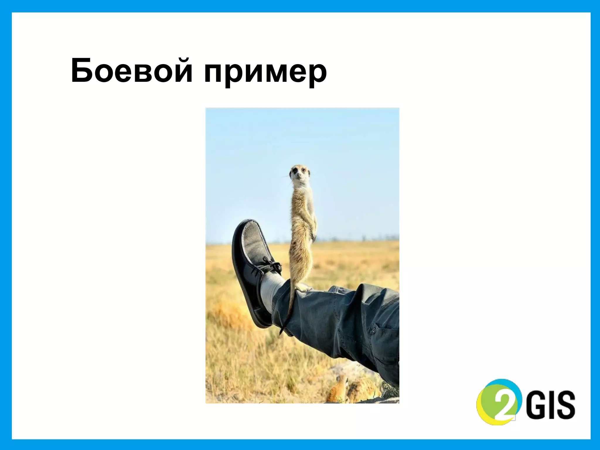 Боевой  пример
 