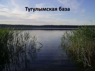Тугулымская база
 