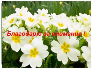 Благодарю за внимание !
 