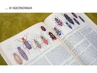 Неэкстремальный взгляд на путешествия с детьми — Протасова Ольга