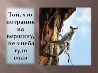 Экстрим в мегаполисе — Бурбела Надежда