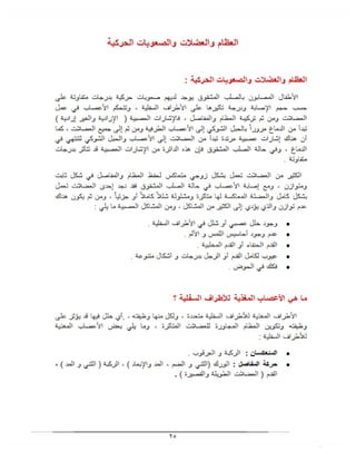 بحث الصلب المشقوق