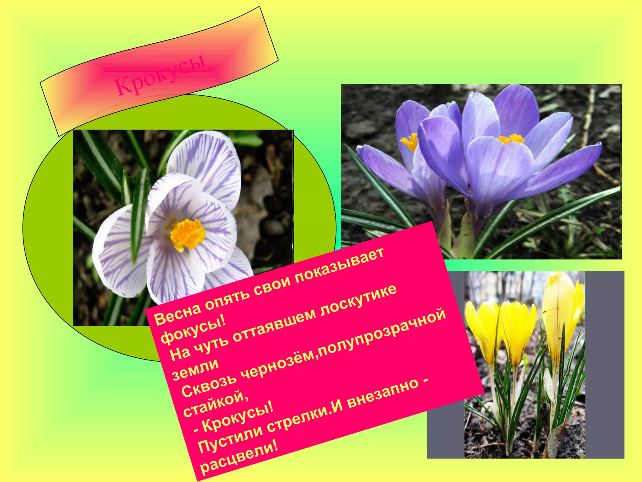 рокусы
К




                                   ет
                           аз ыва
                     и по к
                  сво                 е
           оп ять             ск утик
   Весна !              м ло                ой
        ус  ы     аявше              зр ачн
    фок уть отт                упро
     Нач               ём ,пол
          ли черноз
     зем зь                                -
       Скво й,                      зап но
             ко                вне
       стай кусы! елки.И
              о
         - Кр или стр
               т
          Пус ели!
               цв
          рас
 