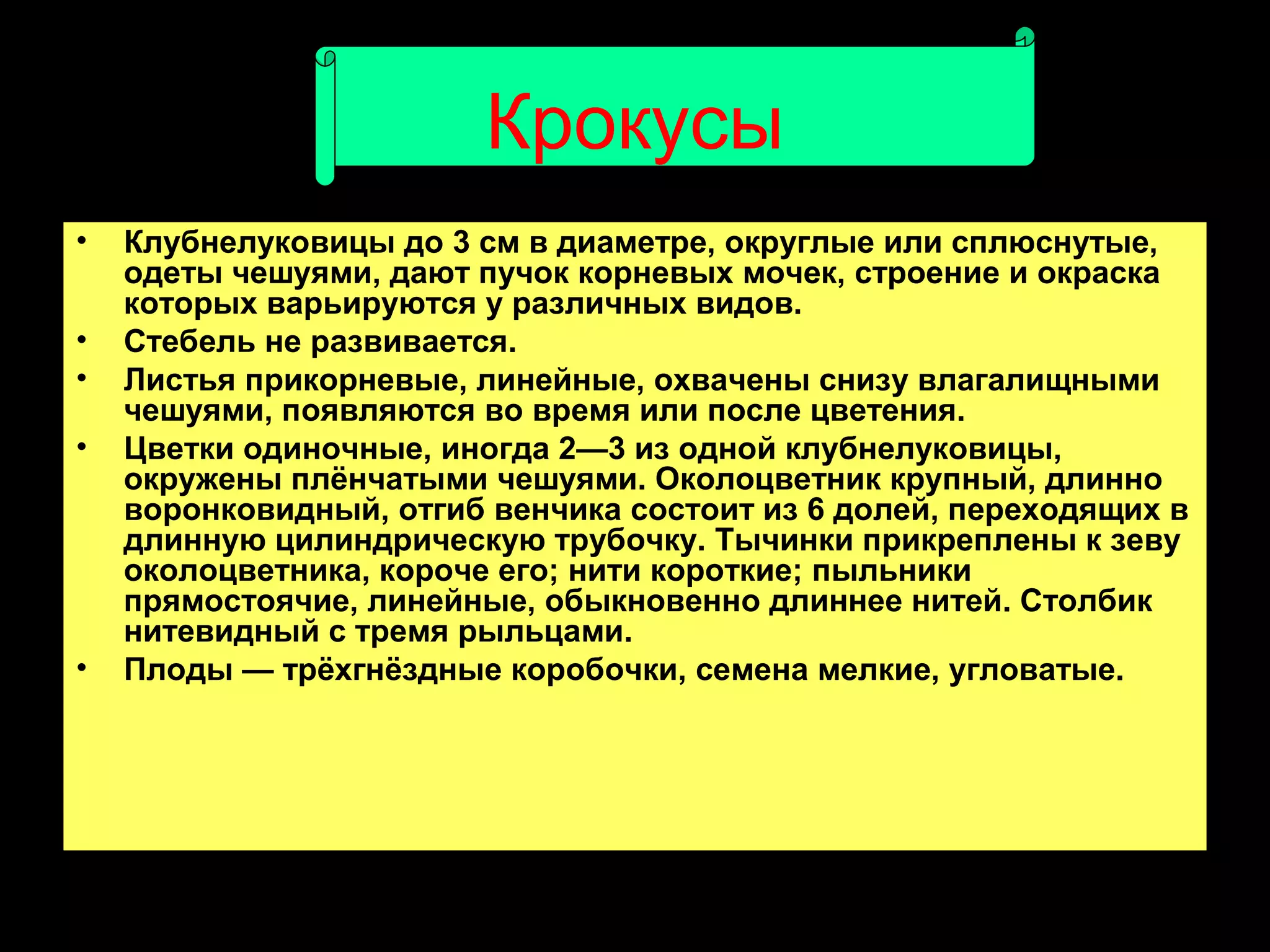 Крокусы
•   Клубнелуковицы до 3 см в диаметре, округлые или сплюснутые,
    одеты чешуями, дают пучок корневых мочек, строение и окраска
    которых варьируются у различных видов.
•   Стебель не развивается.
•   Листья прикорневые, линейные, охвачены снизу влагалищными
    чешуями, появляются во время или после цветения.
•   Цветки одиночные, иногда 2—3 из одной клубнелуковицы,
    окружены плёнчатыми чешуями. Околоцветник крупный, длинно
    воронковидный, отгиб венчика состоит из 6 долей, переходящих в
    длинную цилиндрическую трубочку. Тычинки прикреплены к зеву
    околоцветника, короче его; нити короткие; пыльники
    прямостоячие, линейные, обыкновенно длиннее нитей. Столбик
    нитевидный с тремя рыльцами.
•   Плоды — трёхгнёздные коробочки, семена мелкие, угловатые.
 