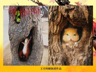 王月的樹洞畫作品
 