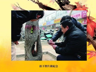 拍下照片做紀念
 