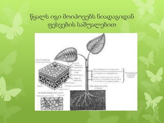 ppt