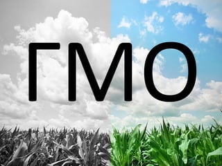 ГМО
 