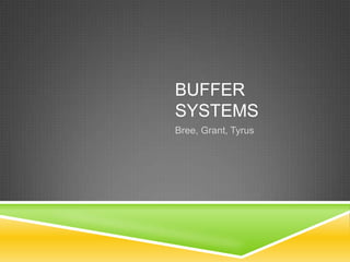 BUFFER
SYSTEMS
Bree, Grant, Tyrus
 