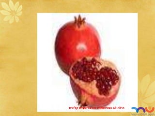 ‫לב‬ ‫הילה‬
‫נטורופתית‬
‫והרבליסטית‬
‫קלינית‬
 