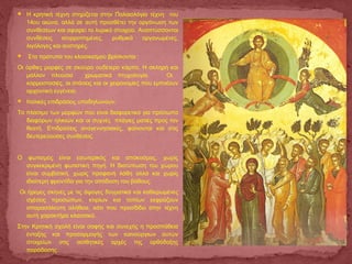  Η κρητική τέχνη στηρίζεται στην Παλαιολόγια τέχνη του
14ου αιώνα, αλλά σε αυτή προσθέτει την οργάνωση των
συνθέσεων και αφαιρεί το λυρικό στοιχείο. Αναπτύσσονται
συνθέσεις ισορροπημένες, ρυθμικά οργανωμένες,
λιγόλογες και αυστηρές.
 Στα πρότυπα του κλασικισμού βρίσκονται :
Οι όρθιες μορφές σε σκούρο ουδέτερο κάμπο. Η σκληρή και
μάλλον πλούσια χρωματικά πτυχολογία. Οι
κορμοστασιές, οι στάσεις και οι χειρονομίες που εμπνέουν
αρχοντική ευγένεια.
 Ιταλικές επιδράσεις υποδηλώνουν:
Το πλάσιμο των μορφών που είναι διαφορετικό για πρόσωπα
διαφόρων ηλικιών και οι συχνές πλάγιες ματιές προς τον
θεατή. Επιδράσεις αναγεννησιακές, φαίνονται και στις
δευτερεύουσες συνθέσεις.
Ο φωτισμός είναι εσωτερικός και απόκοσμος, χωρίς
συγκεκριμένη φωτιστική πηγή. Η διατύπωση του χώρου
είναι συμβατική, χωρίς προφανή λάθη αλλά και χωρίς
ιδιαίτερη φροντίδα για την απόδοση του βάθους.
Οι ήρεμες σκηνές με τις άψογες δογματικά και καθιερωμένες
σχέσεις προσώπων, κτιρίων και τοπίων εκφράζουν
απαρασάλευτη αλήθεια, κάτι που προσδίδει στην τέχνη
αυτή χαρακτήρα κλασσικό.
Στην Κρητική σχολή είναι σαφής και συνεχής η προσπάθεια
ένταξης και προσαρμογής των καινούργιων αυτών
στοιχείων στις αισθητικές αρχές της ορθόδοξης
παράδοσης.
 