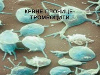 КРВНЕ ПЛОЧИЦЕ-
ТРОМБОЦИТИ
 