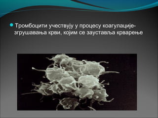 Тромбоцити учествују у процесу коагулације-
згрушавања крви, којим се зауставља крварење
 