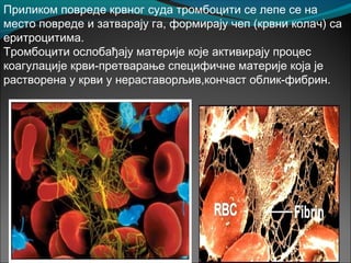 Приликом повреде крвног суда тромбоцити се лепе се на
место повреде и затварају га, формирају чеп (крвни колач) са
еритроцитима.
Тромбоцити ослобађају материје које активирају процес
коагулације крви-претварање специфичне материје која је
растворена у крви у нераставорљив,кончаст облик-фибрин.
 