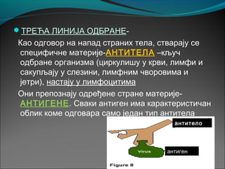 ТРЕЋА ЛИНИЈА ОДБРАНЕ-
Као одговор на напад страних тела, стварају се
специфичне материје-АНТИТЕЛА –кључ
одбране организма (циркулишу у крви, лимфи и
сакупљају у слезини, лимфним чворовима и
јетри), настају у лимфоцитима
Они препознају одређене стране материје-
АНТИГЕНЕ. Сваки антиген има карактеристичан
облик коме одговара само један тип антитела
антитело
антиген
 