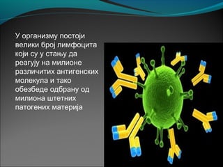 У организму постоји
велики број лимфоцита
који су у стању да
реагују на милионе
различитих антигенских
молекула и тако
обезбеде одбрану од
милиона штетних
патогених материја
 