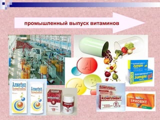 промышленный выпуск витаминов
 