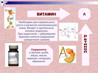 ВИТАМИНВИТАМИН А
Необходим для нормального
роста и развития эпителиальной
ткани. Входит в зрительный
пигмент родопсин.
При недостатке – заболевание
Куриная слепота (нарушение
сумеречного зрения)
Содержится:
в молоке, рыбе,
яйцах, масле,
моркови, петрушке,
абрикосах.
 