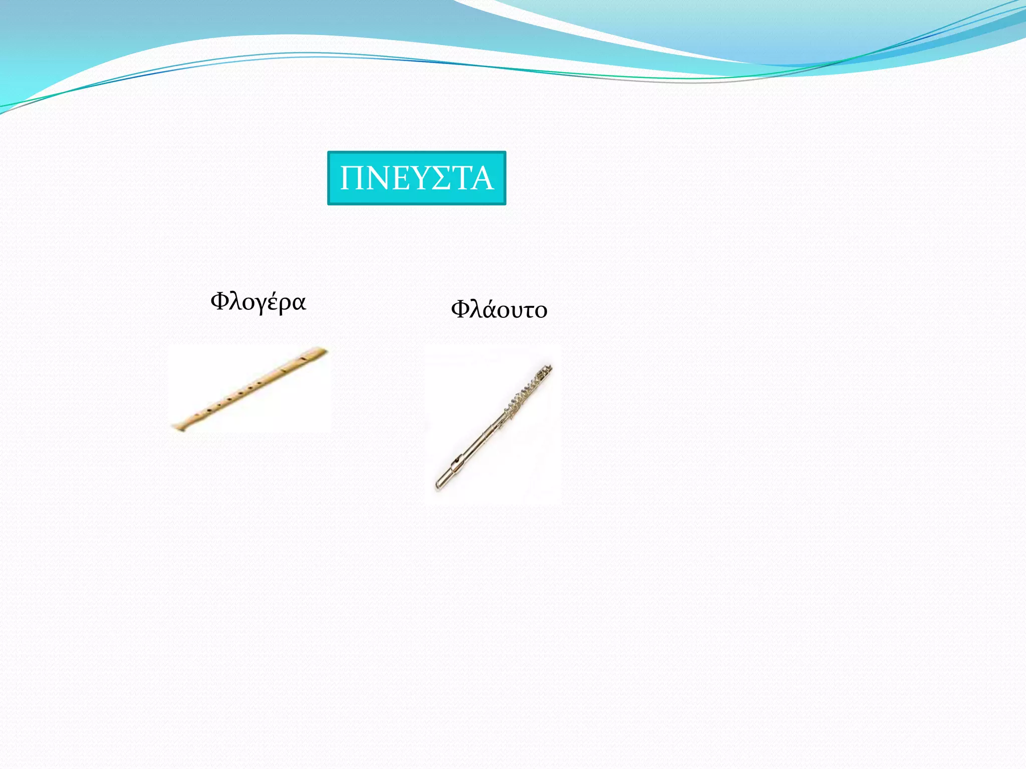 ΠΝΕΤ΢ΣΑ
Υλογϋρα Υλϊουτο
 