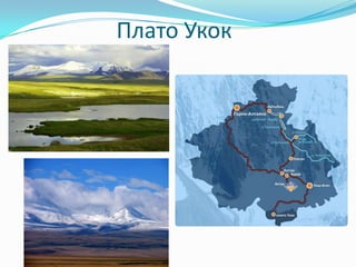 Плато Укок
 