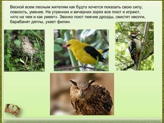 Весной всем лесным жителям как будто хочется показать свою силу,
ловкость, умение. На утренних и вечерних зорях все поют и играют,
«кто на чем и как умеет». Звонко поют певчие дрозды, свистят иволги,
барабанят дятлы, ухает филин.
 