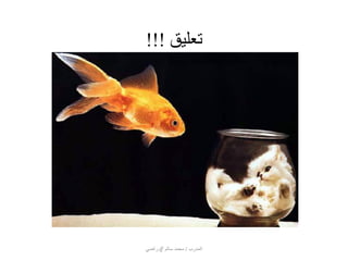 ‫تعليق‬!!!
‫المدرب‬/‫أ‬ ‫سالم‬ ‫محمد‬[‫وراضي‬
 