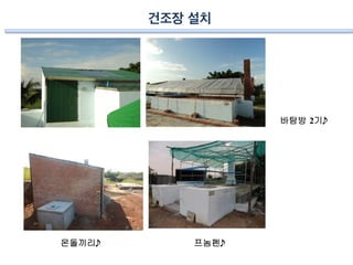 건조장 설치
바탐방 2기
몬돌끼리
 프놈펜
 