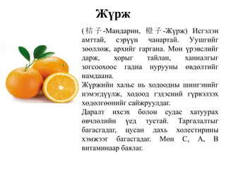 Жүрж
( 桔 子 -Мандарин, 橙 子 -Жүрж) Исгэлэн
амттай, сэрүүн чанартай. Уушгийг
зөөллөж, архийг гаргана. Мөн үрэвслийг
дарж, хорыг тайлан, ханиалгыг
зогсоохоос гадна нурууны өвдөлтийг
намдаана.
Жүржийн хальс нь ходоодны шингэнийг
нэмэгдүүлж, ходоод гэдэсний гүрвэлзэх
хөдөлгөөнийг сайжруулдаг.
Даралт ихсэх болон судас хатуурах
өвчлөлийн үед тустай. Таргалалтыг
багасгадаг, цусан дахь холестирины
хэмжээг багасгадаг. Мөн С, А, В
витаминаар баялаг.
 