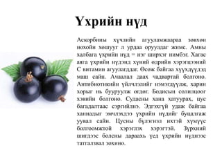 Үхрийн нүд
Аскорбины хүчлийн агууламжаараа зөвхөн
нохойн хошууг л урдаа оруулдаг жимс. Амны
халбага үхрийн нүд = нэг ширхэг нимбэг. Хагас
аяга үхрийн нүдэнд хүний өдрийн хэрэгцээний
С витамин агуулагддаг. Өсөж байгаа хүүхдүүдэд
маш сайн. Ачаалал даах чадвартай болгоно.
Антибиотикийн үйлчлэлийг нэмэгдүүлж, харин
хорыг нь бууруулж өгдөг. Бодисын солилцоог
хэвийн болгоно. Судасны хана хатуурах, цус
багадалтаас сэргийлнэ. Эдгэхгүй удаж байгаа
ханиадыг эмчлэхдээ үхрийн нүдийг буцалгаж
уувал сайн. Цусны бүлэгнэл ихтэй хүмүүс
болгоомжтой хэрэглэх хэрэгтэй. Зүрхний
шигдээс болсны дараахь үед үхрийн нүднээс
татгалзвал зохино.
 