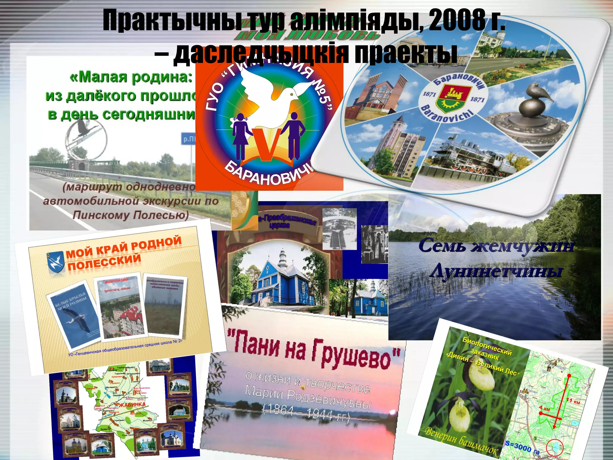 Практычны тур алімпіяды, 2008 г.
– даследчыцкія праекты
 