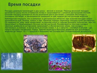 o Посадку деревьев производят в два срока – весной и осенью. Период весенней посадки
начинается сразу после оттаивания почвы и заканчивается с началом распускания листьев.
Осенняя посадка начинается после окончания роста растений, с началом листопада (с
половины сентября), и заканчивается примерно за две недели до наступления морозов.
o Наблюдения показали, что в северных и центральных областях при осенней посадке плохо
приживаются дуб, береза, тополь и ива. Хвойные породы переносят посадку хуже лиственных.
Остающаяся на зиму хвоя продолжает испарение влаги в гораздо большем количестве, чем это
происходит у сбрасывающих осенью листву растений. Рекомендуется поэтому посадку
хвойных деревьев и кустарников производить в более ранние сроки, чем посадку
лиственных, а именно: в конце лета и начале осени, т. е. в августе – сентябре и весной – до
начала посадки лиственных пород. Зимняя пересадка больших деревьев при устойчивых
морозах до минус 10-15 градусов в большинстве случаев дает положительные результаты.
 