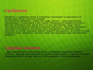 Удобрение
 Обработку и удобрение почвы в котлованах производят в зависимости от
плодородия почвы и местных условий.
Органические удобрения – перегной, торф, компост – нужно равномерно
перемешивать с насыпаемой в яму почвой. Минеральные удобрения вносят в
верхний почвенный слой, ввиду того, что они, растворяясь, будут потом
постепенно проникать в нижние почвенные горизонты. Почва под деревьями
постепенно истощается. Это можно легко определить по внешнему виду
растений: их листья становятся мельче, прирост уменьшается, по стволу и сучьям
начинают расти лишайники. Поэтому почву под деревьями надо периодически
удобрять.
Садовые замазки
 Для замазки мест срезанных веток в продаже имеются готовые
замазки , однако при желании их можно приготовить. Садовые замазки
подразделяются на две группы: тепложидкие и холодножидкие.
 