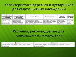 Растения, рекомендуемые для
садозащитных насаждений
 