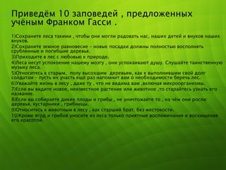 o Приведѐм 10 заповедей , предложенных
учѐным Франком Гасси .
o 1)Сохраните леса такими , чтобы они могли радовать нас, наших детей и внуков наших
внуков.
o 2)Сохраните земное равновесие – новые посадки должны полностью восполнять
срубленные и погибшие деревья.
o 3)Приходите в лес с любовью к природе.
o 4)Леса несут успокоение нашему мозгу , они успокаивают душу. Слушайте таинственную
музыку леса.
o 5)Относитесь к старым, полу высохшим деревьям, как к выполнившим свой долг
солдатам – пусть их участь ещѐ раз напомнит вам о необходимости беречь лес.
o 6)Уважайте жизнь в лесу , даже ту , что не видима вам ,включая микроорганизмы.
o 7)Если вы видите новое, неизвестное растение или животное ,то старайтесь узнать его
название.
o 8)Если вы собираете дикие плоды и грибы , не уничтожайте то , на чѐм они росли:
деревья, кустарники , грибницы.
o 9)Относитесь к животным в лесу , как старший брат, без жестокости.
o 10)Кроме ягод и грибов уносите из леса только приятные воспоминания и восхищения
его красотой.
 