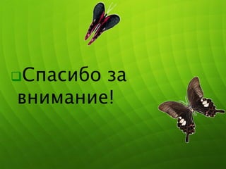 Спасибо за
внимание!
 
