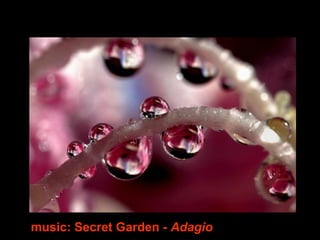 music: Secret Garden - Adagio
 