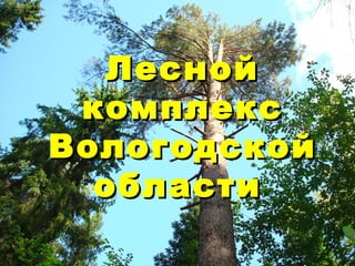 ЛеснойЛесной
комплекскомплекс
ВологодскойВологодской
областиобласти
 