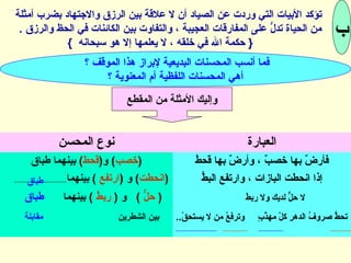 حسن التقسيم
