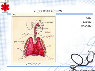 ‫החזה‬ ‫בבית‬ ‫איברים‬
•‫הלב‬
•‫הריאות‬
•‫הסרעפת‬
‫והדרכה‬ ‫ייעוץ‬ .‫מ.ק‬ ‫ל‬ ‫שמורות‬ ‫הזכויות‬ ‫כל‬
 