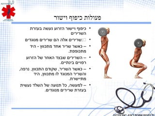 ‫וישור‬ ‫כיפוף‬ ‫פעולות‬
•‫בעזרת‬ ‫נעשה‬ ‫הזרוע‬ ‫ויישור‬ ‫כיפוף‬
‫השרירים‬
•‫מנוגדים‬ ‫שרירים‬ ‫הם‬ ‫אלה‬ ‫:שרירים‬
•‫היד‬ - ‫מתכווץ‬ ‫אחד‬ ‫שריר‬ ‫כאשר‬ –
.‫מתכופפת‬
•‫הזרוע‬ ‫של‬ ‫האחר‬ ‫שבצד‬ ‫השרירים‬ –
.‫בינתיים‬ ‫רפויים‬
•,‫נרפה‬ ,‫התכווץ‬ ‫שקודם‬ ,‫השריר‬ ‫כאשר‬ –
‫היד‬ ,‫מתכווץ‬ ‫לו‬ ‫המנוגד‬ ‫והשריר‬
.‫מתיישרת‬
•‫נעשית‬ ‫השלד‬ ‫של‬ ‫תנועה‬ ‫כל‬ ,‫למעשה‬ –
.‫מנוגדים‬ ‫שרירים‬ ‫בעזרת‬
‫והדרכה‬ ‫ייעוץ‬ .‫מ.ק‬ ‫ל‬ ‫שמורות‬ ‫הזכויות‬ ‫כל‬
 